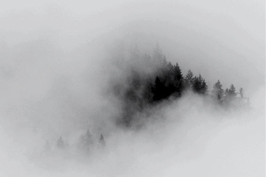 האם ניתן להלבין חטאים אפורים ושחורים? - הרבנית שרה סגל־כץ