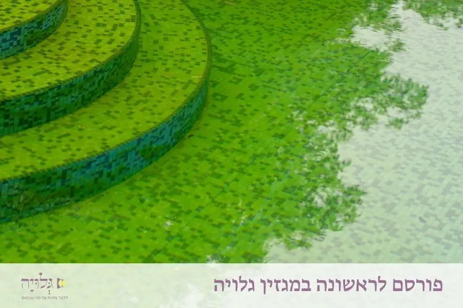 מים עכורים: תברואה והיגיינה במקווה - מאמר מאת הרבנית שרה סגל־כץ, פורסם במגזין גלויה | Murky Waters- Sanitation and Hygiene in the Mikvah - Article by Rabbanit Sarah Segal-Katz, Published in Gluya Magazine