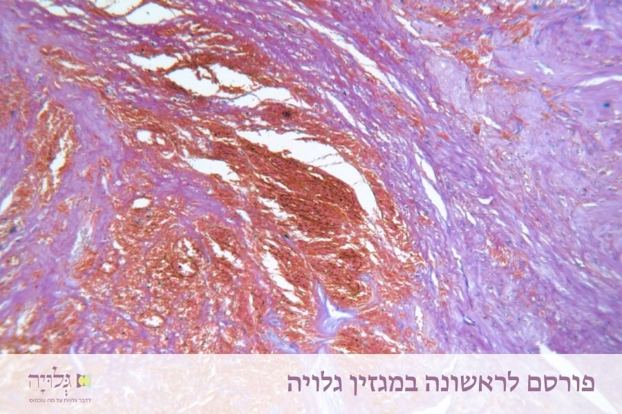 הליכה במסע הפוריות - מאמר מאת הרבנית שרה סגל־כץ, פורסם במגזין גלויה | Navigating the Fertility Path - Essay by Rabbanit Sarah Segal-Katz, Published in Gluya Magazine