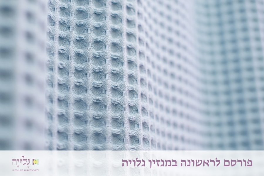 הבלנית, קווים לדמותה - מאמר מאת הרבנית שרה סגל־כץ, פורסם במגזין גלויה | The Balanit, Portrait of Her Role - Essay by Rabbanit Sarah Segal-Katz, Published in Gluya Magazine