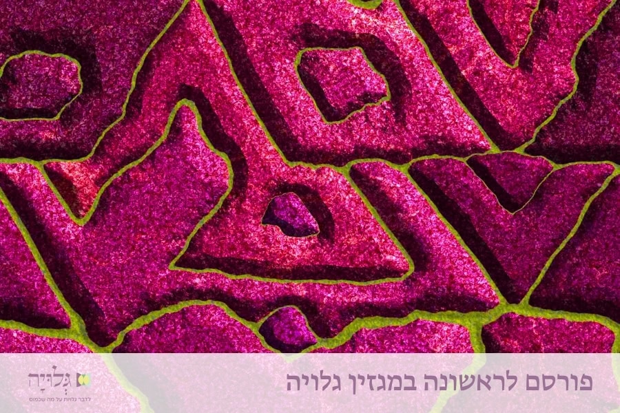 זוגיות בלי שיפוטיות דתית - מאמר מאת הרבנית שרה סגל־כץ, פורסם במגזין גלויה | Partnership Free from Religious Judgment - Essay by Rabbanit Sarah Segal-Katz, Published in Gluya Magazine