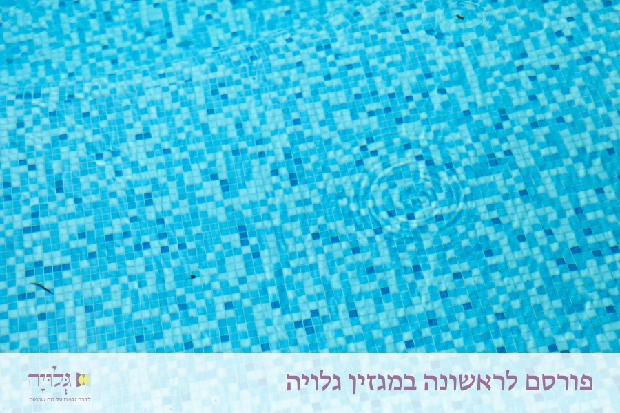 טבילת כלה: הכנה לקראת הטבילה הראשונה במקווה - מאמר מאת הרבנית שרה סגל־כץ, פורסם במגזין גלויה | Kallah's Immersion: Preparing for the Initial Ritual Immersion - Essay by Rabbanit Sarah Segal-Katz, Published in Gluya Magazine