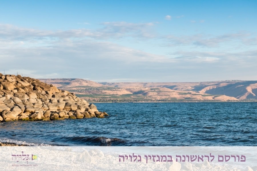 כל כך מתחשק לטבול בכנרת: על האפשרות ההלכתית לקיים טבילה בטבע - מאמר מאת הרבנית שרה סגל־כץ, פורסם במגזין גלויה | On the Halakhic Possibility of Ritual Immersion in Nature - Article by Rabbanit Sarah Segal-Katz, Published in Gluya Magazine