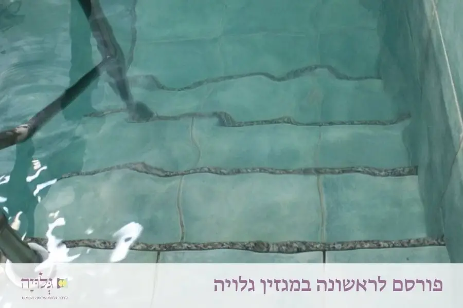 טבילה משלך: להפוך את הטבילה לבעלת משמעות אישית - מאמר מאת הרבנית שרה סגל־כץ, פורסם במגזין גלויה | Your Own Immersion: Making the Immersion Personally Meaningful - An article by Rabbanit Sarah Segal-Katz, published in Gluya Magazine