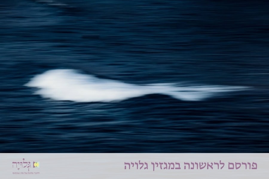 לצאת חוצץ נגד החמרות בדיני חציצה בעת הטבילה - מאמר מאת הרבנית שרה סגל־כץ , פורסם במגזין גלויה | Rabbanit Sarah Segal-Katz