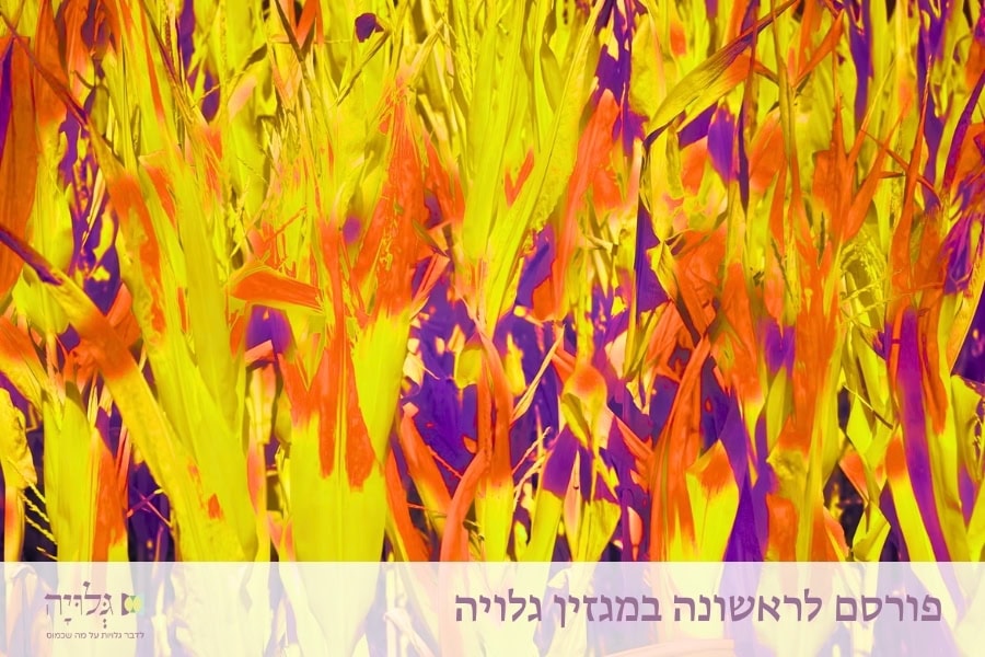 מחויבות טובה דיה: אחריות והתמדה בעולמם של מאורסים וזוגות צעירים - מאמר מאת הרבנית שרה סגל־כץ | ood-enough-commitment-short-version