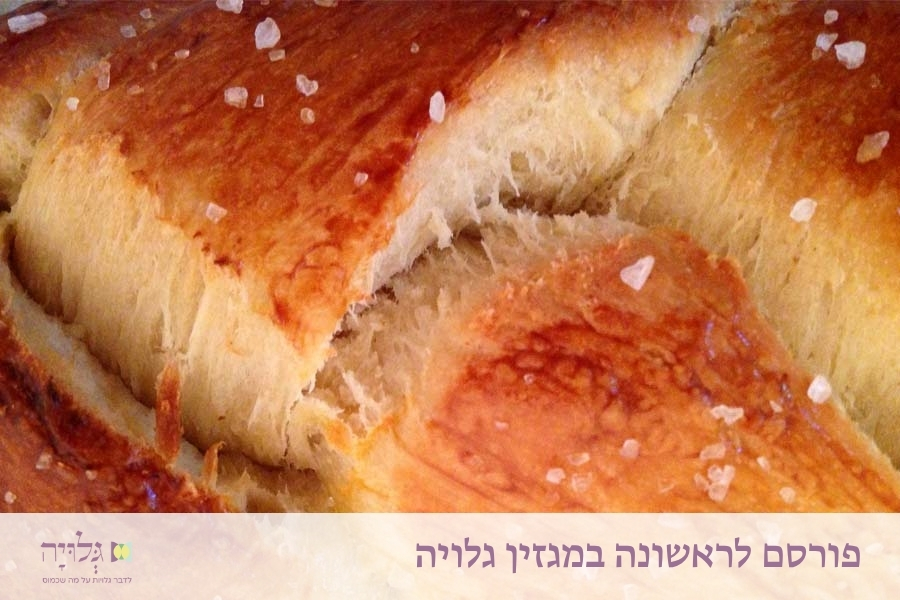 מאמר מאת הרבנית שרה סגל־כץ, פורסם במגזין גלויה: לא תבואי שישי שבת? טבילה ביום שישי כשאין מקווה קרוב